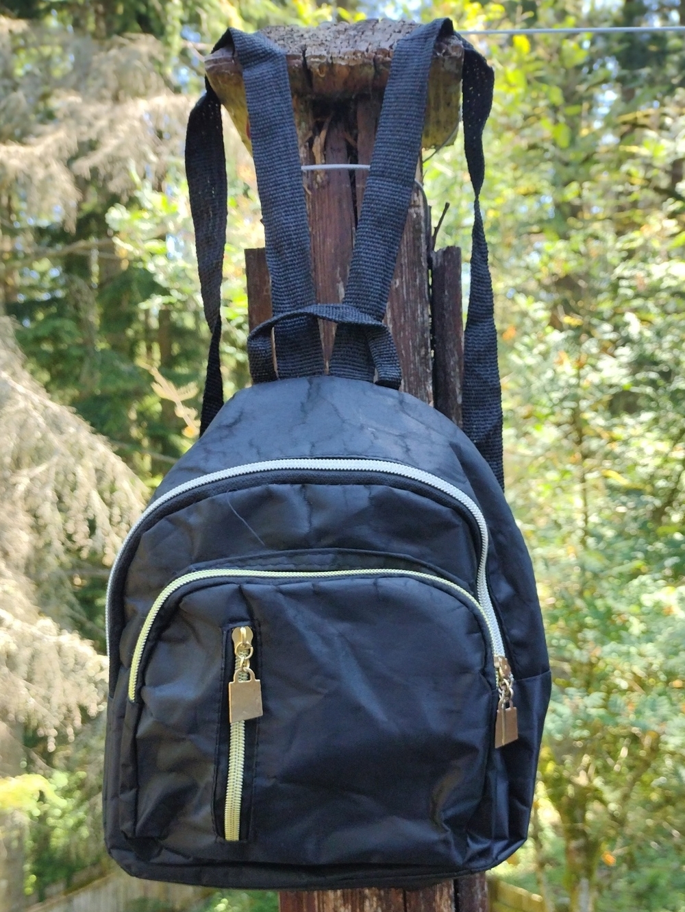 Black Mini Backpack with Gold Accents - Unbranded